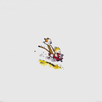 ANDREWS MCMEEL PUBLISHING CALVIN AND HOBBES