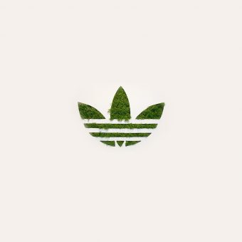 papers