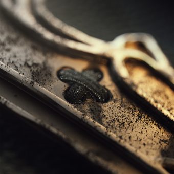 papers