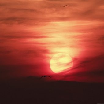 papers